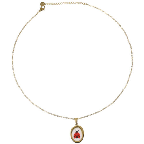 Collana Lucky Ladybug  - Acciaio