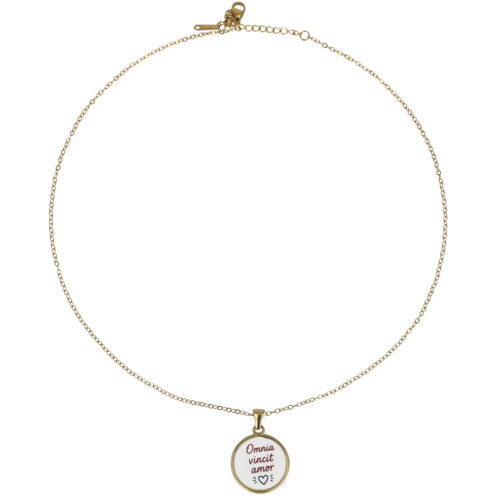 Collana Omnia Vincit Amor in Acciaio